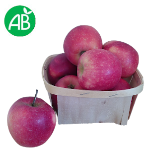 Pommes BIO variété Story – 1kg